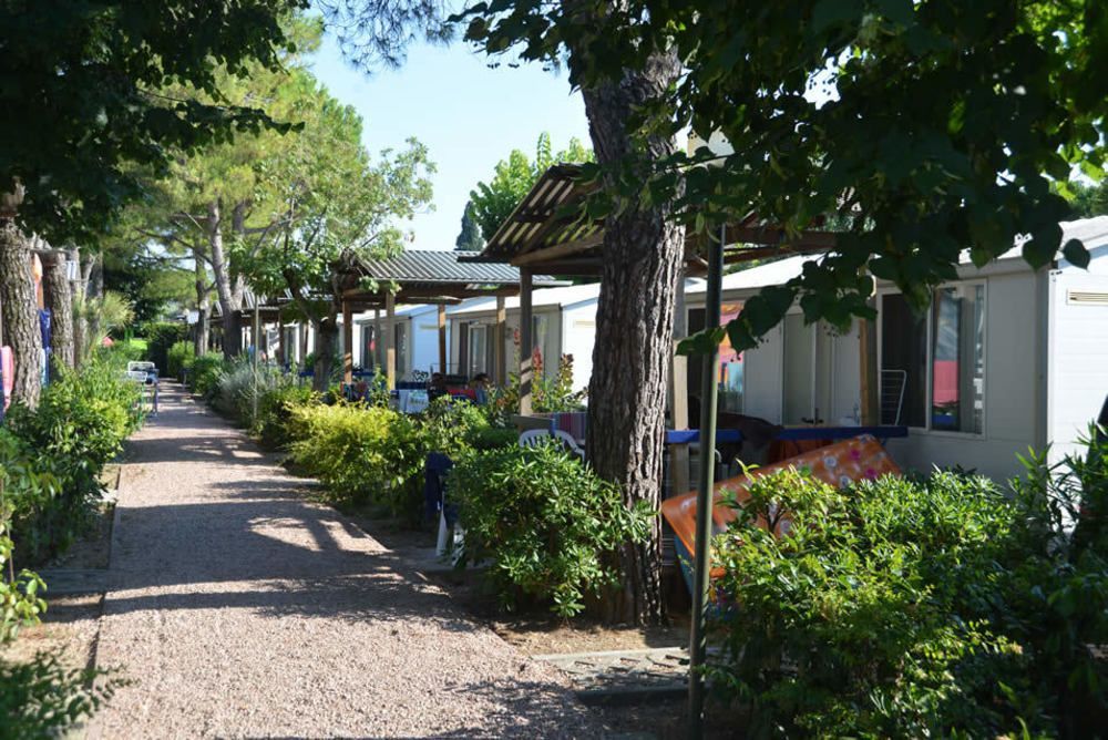 Camping Serenella Bardolino Ngoại thất bức ảnh