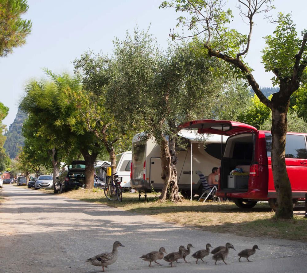Camping Serenella Bardolino Ngoại thất bức ảnh
